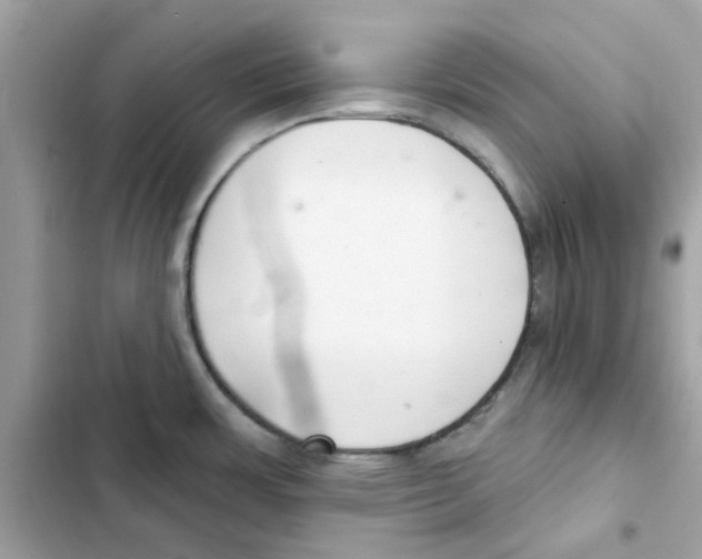 X0000101981483200808151350