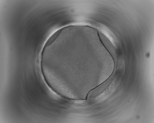 X0000101981484200808151350