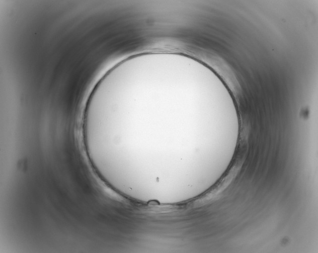 X0000101981486200808151349