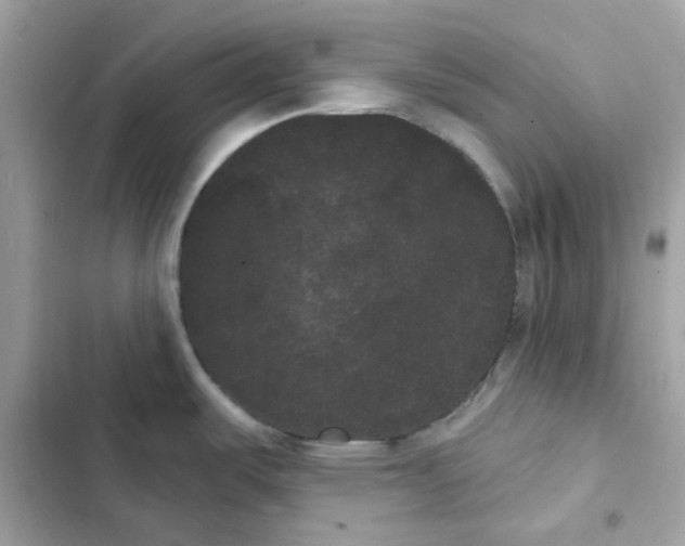 X0000101981487200808151349