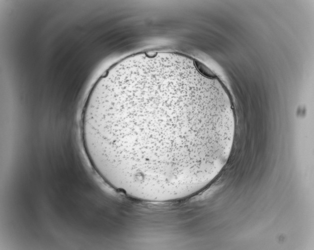 X0000101981488200808151349