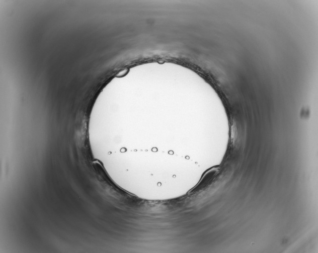 X0000101981492200808151349