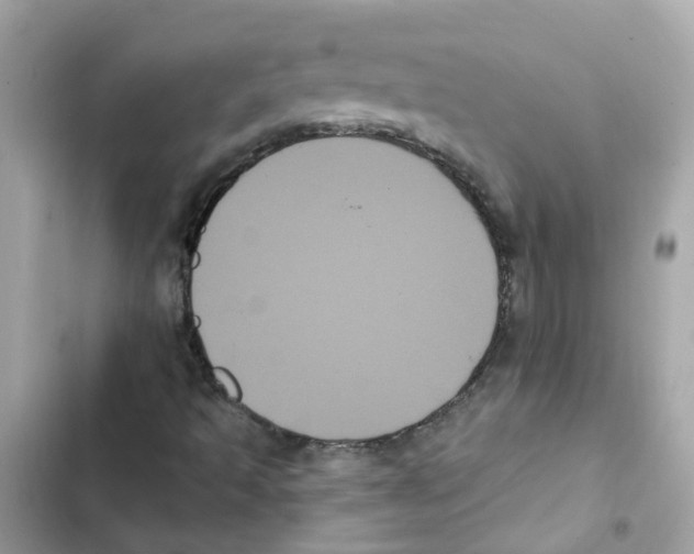 X0000101981493200808151349