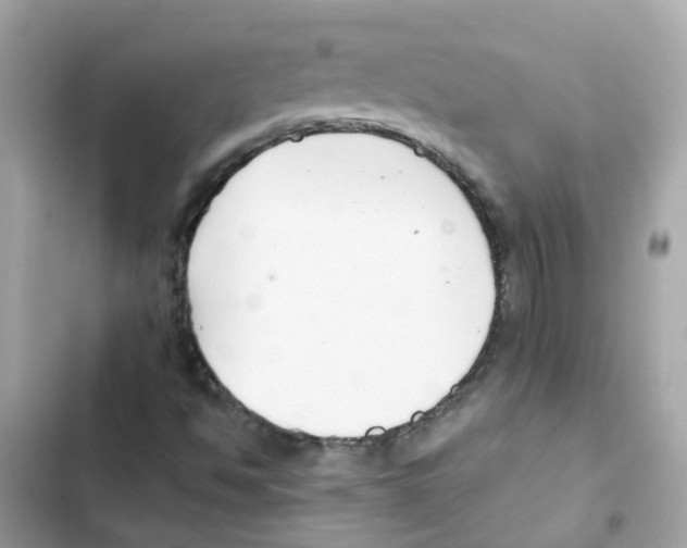 X0000101981494200808151349