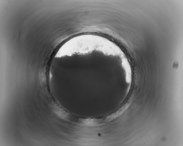 X0000101981497200808151349