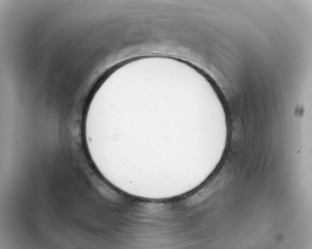 X0000101981499200808151349