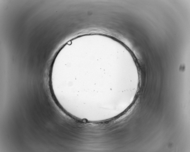 X0000101981500200808151349