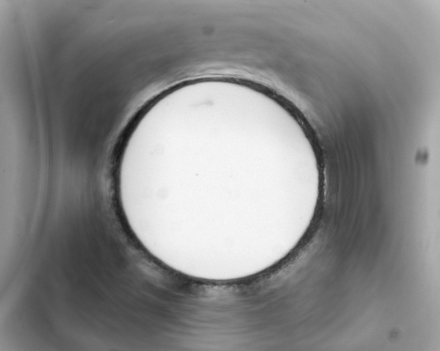 X0000101981501200808151349