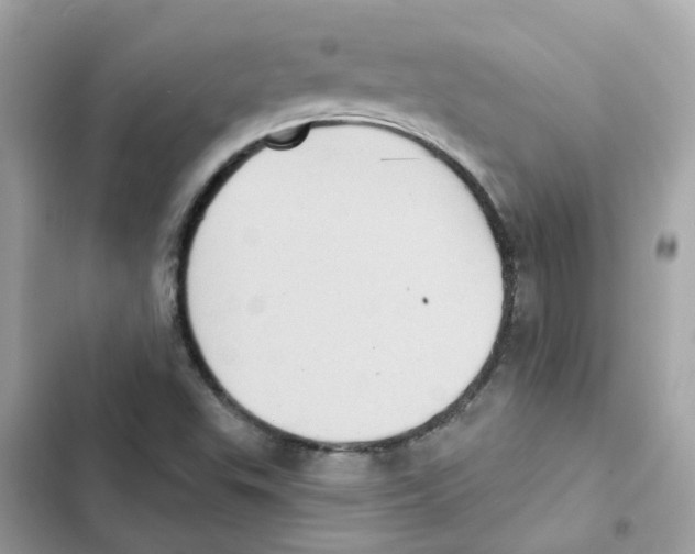 X0000101981503200808151349