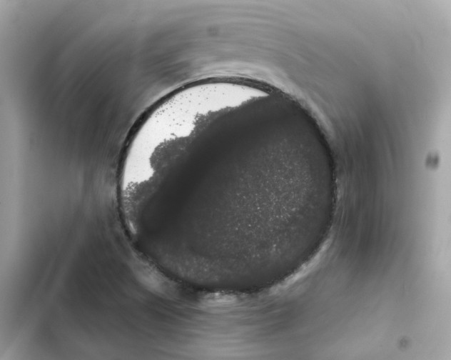 X0000101981505200808151349