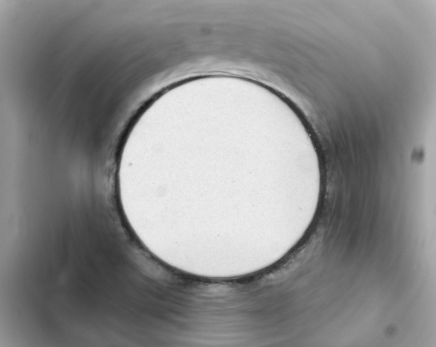 X0000101981507200808151349