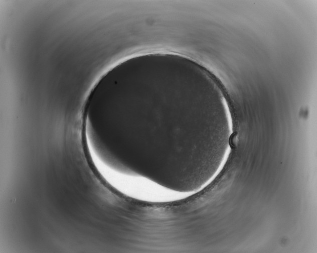 X0000101981508200808151349