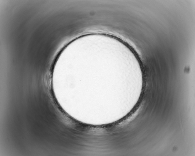 X0000101981509200808151349