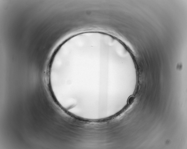 X0000101981510200808151349