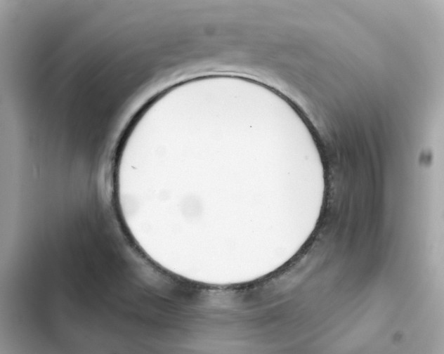 X0000101981511200808151349