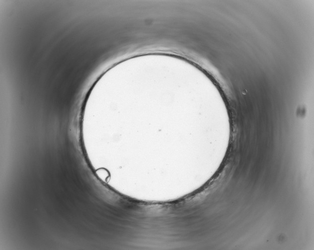 X0000101981512200808151349