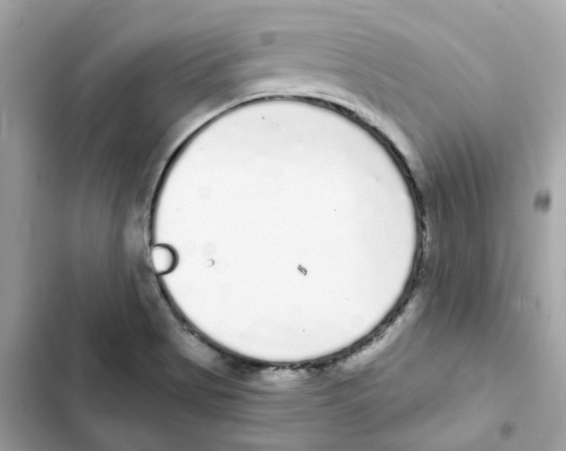 X0000101981513200808151349