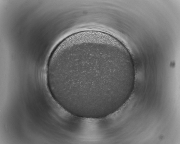 X0000101981514200808151349