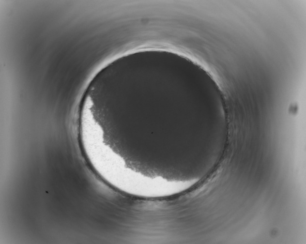 X0000101981519200808151349