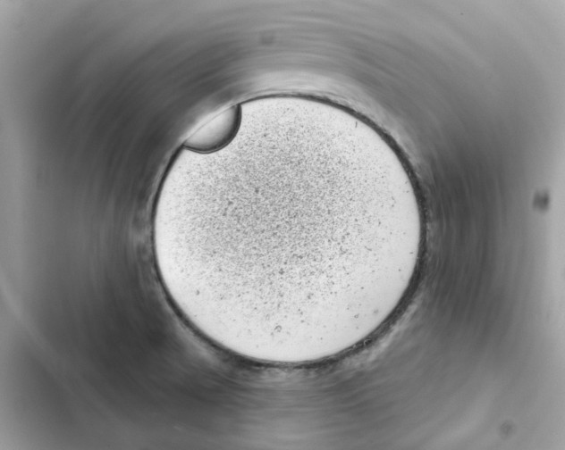 X0000101981521200808151349