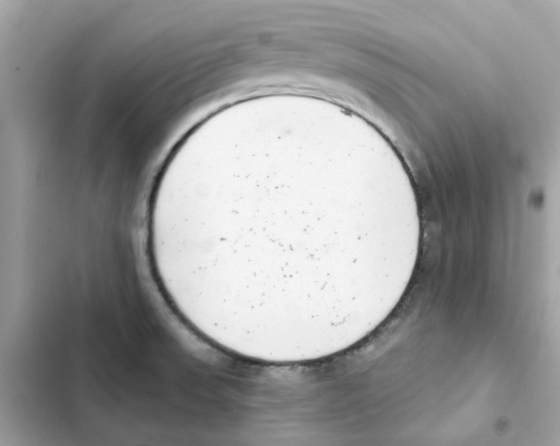 X0000101981523200808151349