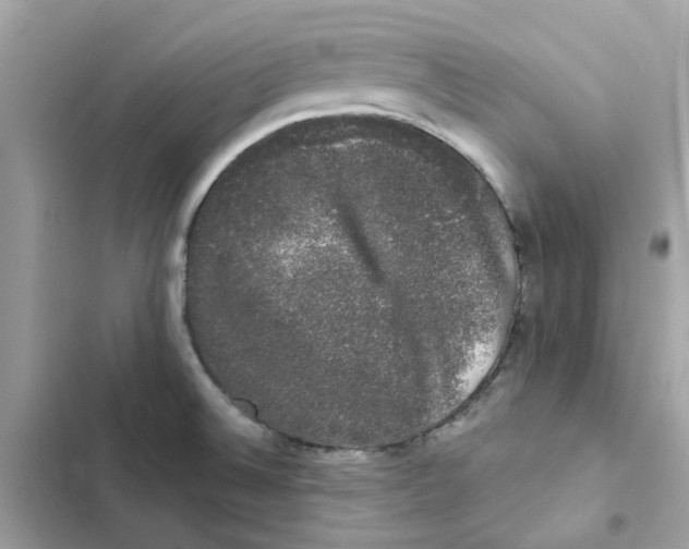 X0000101981524200808151349