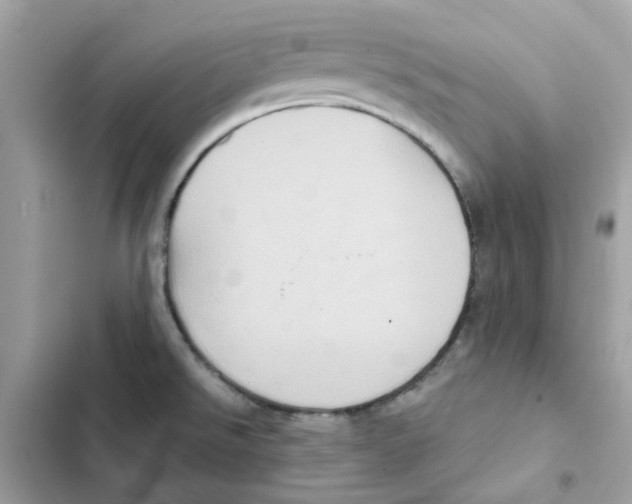 X0000101981526200808151349