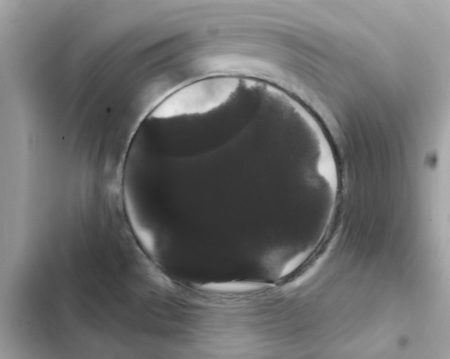 X0000101981529200808151349