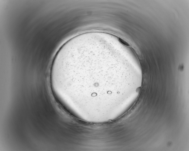 X0000101981530200808151349