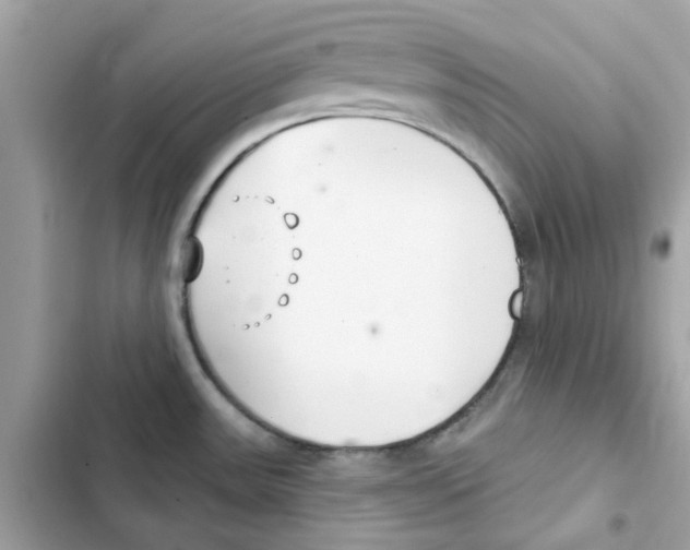 X0000101981531200808151349