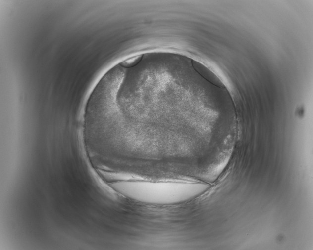 X0000101981532200808151349