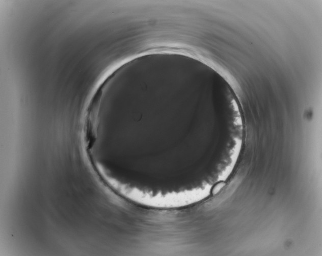 X0000101981533200808151349