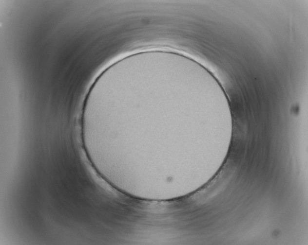 X0000101981534200808151349