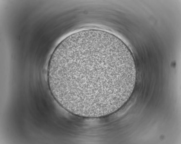 X0000101981535200808151349