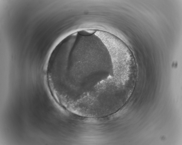 X0000101981536200808151349