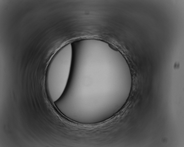 X0000101990002200807180835