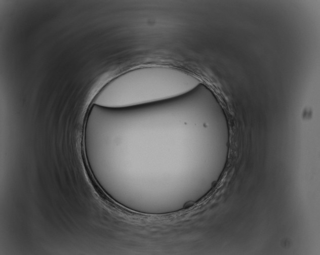 X0000101990003200807180835