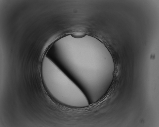 X0000101990004200807180835