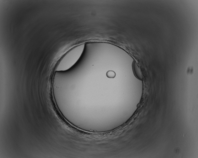 X0000101990005200807180835