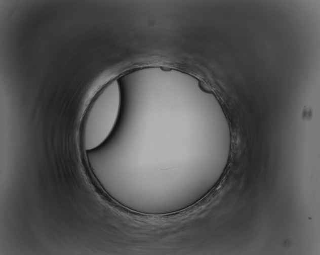 X0000101990006200807180835