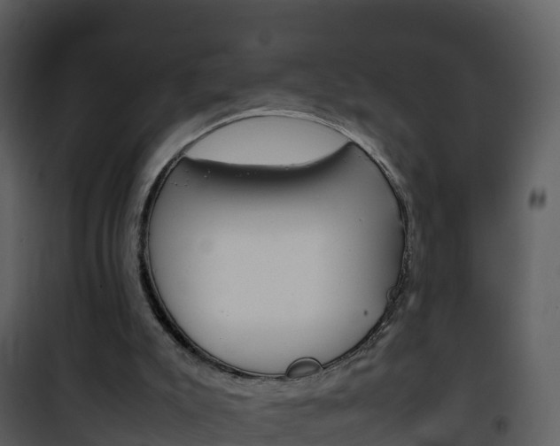 X0000101990007200807180835