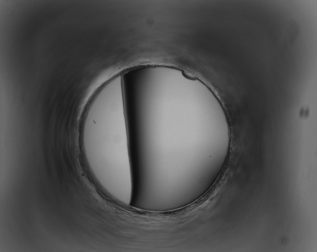 X0000101990008200807180835