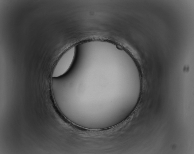 X0000101990009200807180835
