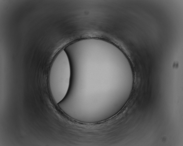 X0000101990010200807180835