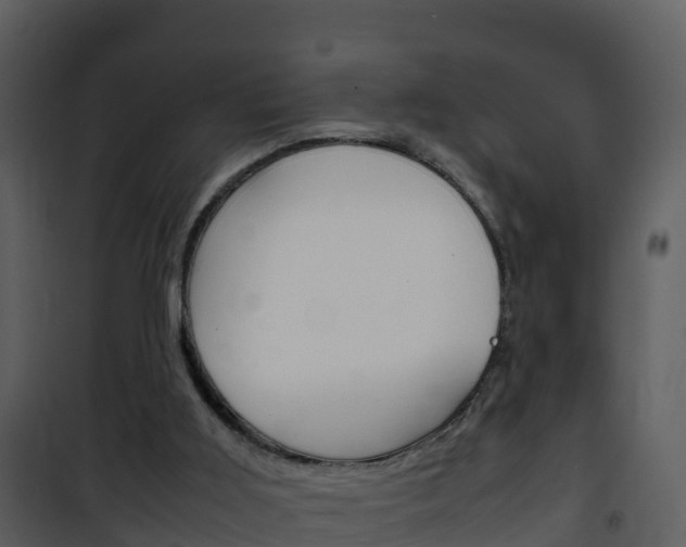 X0000101990011200807180835