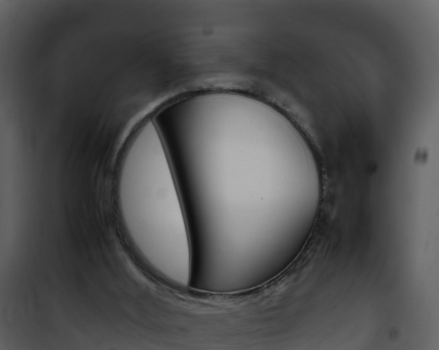 X0000101990012200807180835