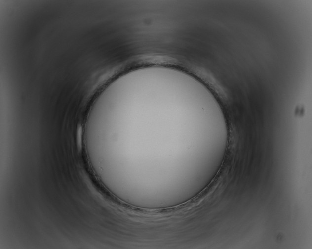 X0000101990014200807180835