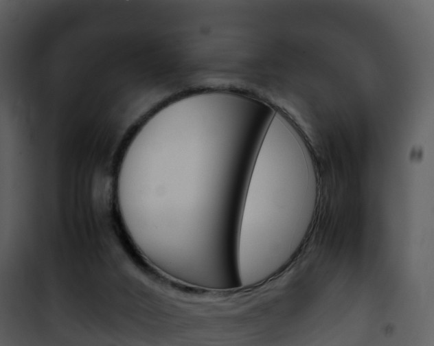 X0000101990016200807180835