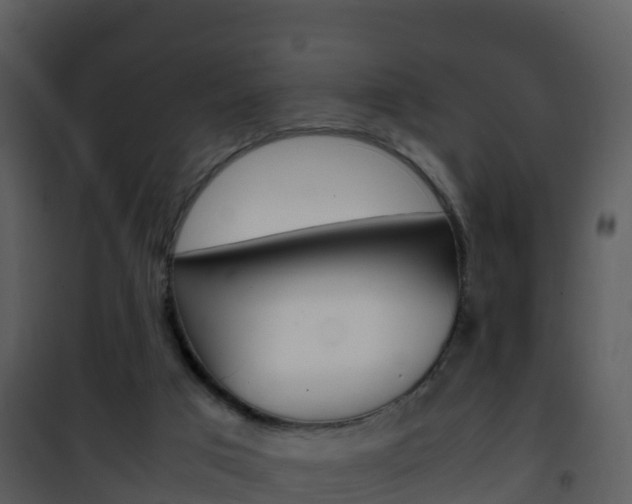 X0000101990017200807180835