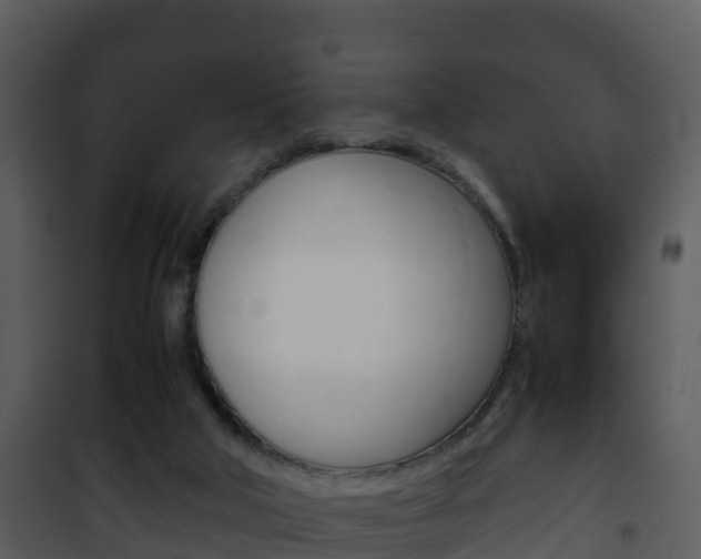 X0000101990018200807180835
